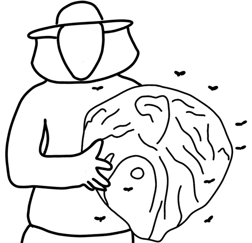 Beepkeeper with wasp hive